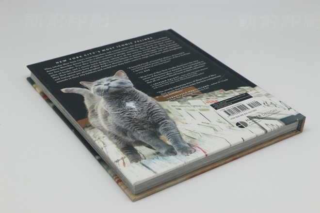 廣州公司畫冊印刷電話 廣州產品單頁畫冊印刷