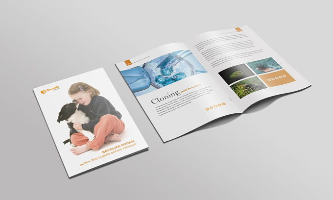 廣州特種印刷畫冊設計 廣州產(chǎn)品畫冊設計印刷